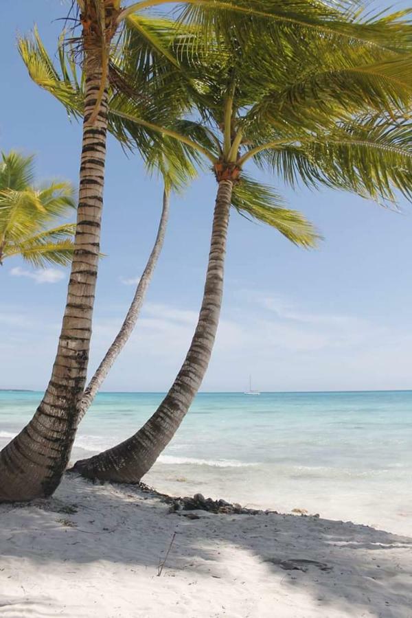 Herard Share Apartamento Punta Cana Eksteriør billede